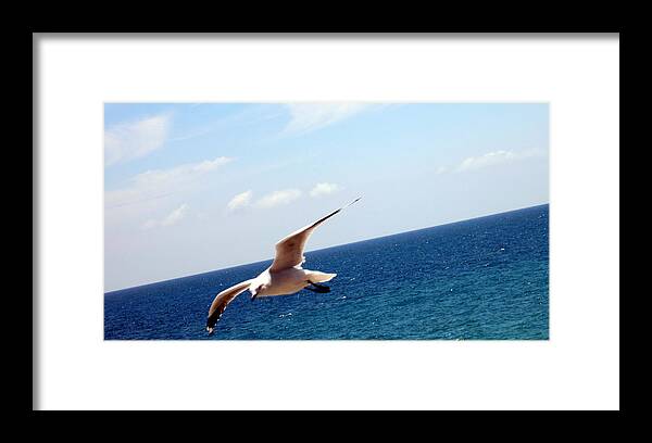 Flight Framed Print featuring the photograph Be Free by Roberto Gagliardi