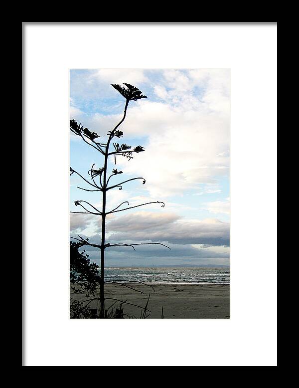Sumner Beach Framed Print featuring the photograph Beach View by Roseanne Jones