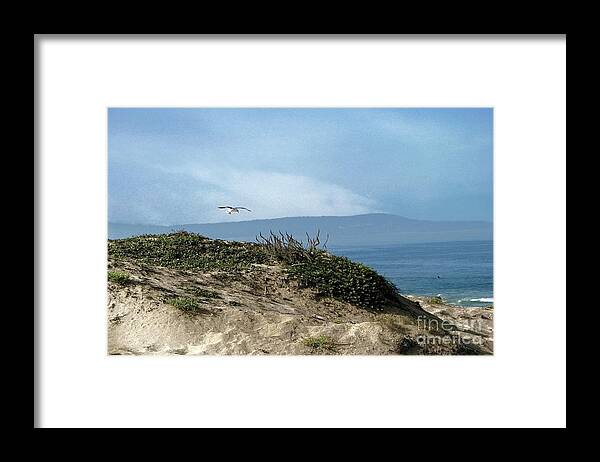 Beach Framed Print featuring the photograph Beach Serenity by Ellen Cotton