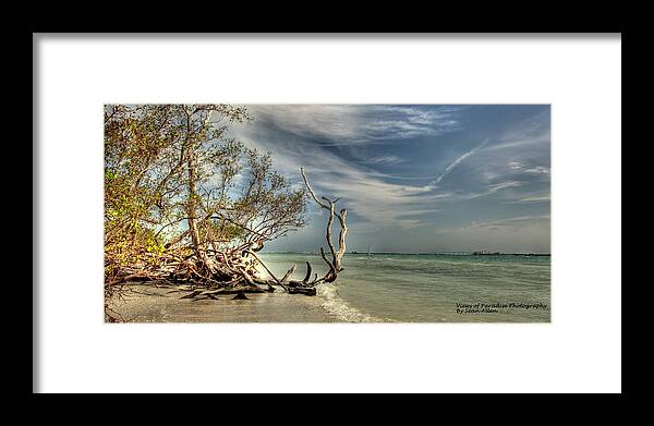 Paradise Framed Print featuring the photograph Beach Tree by Sean Allen