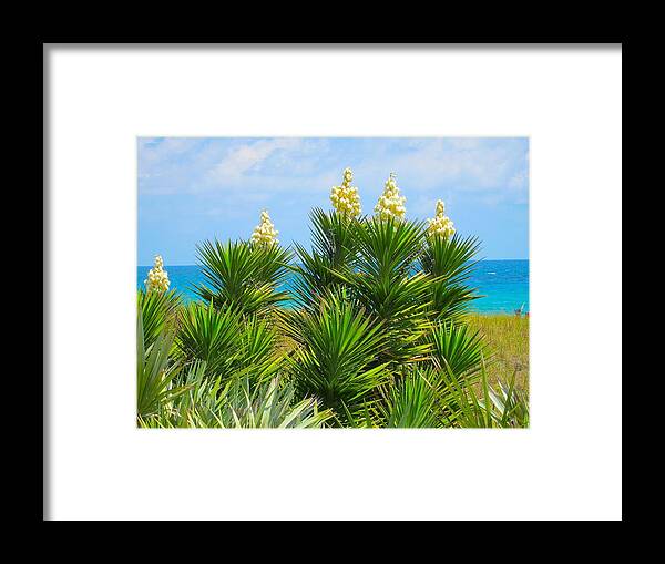 S. Fl Vegetation Framed Print featuring the photograph Beach Yucca in Blossom by Kathryn Barry