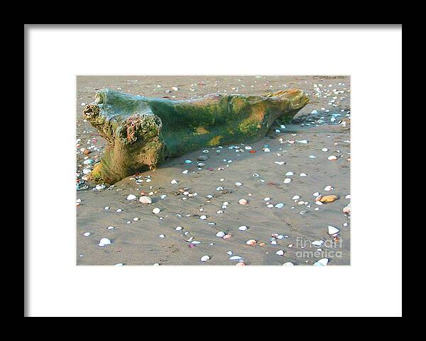 Beach Framed Print featuring the photograph Beachcombing by Julia Springer