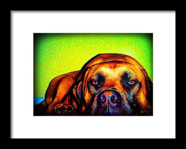 Abstract Framed Print featuring the photograph Beefy Girl in Bright Colors by Kelly Hazel