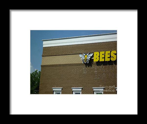 Bee Framed Print featuring the photograph BEES on Building by Renee Trenholm