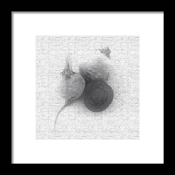 Beets Framed Print featuring the photograph Beets Still Life by Lynne Daley
