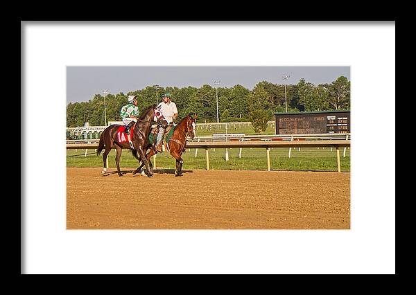 Horse Framed Print featuring the photograph Before the Race by Betsy Knapp