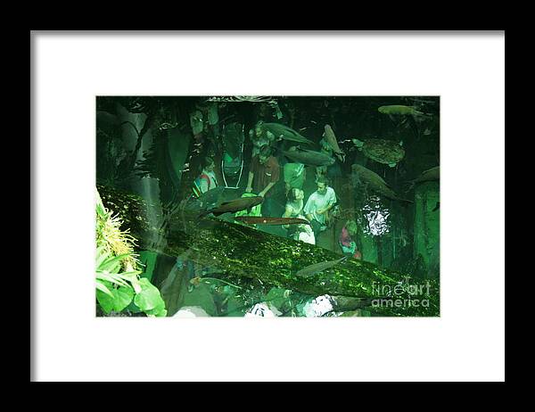 Aquarium Framed Print featuring the photograph Behind the Scenes by Cynthia Marcopulos
