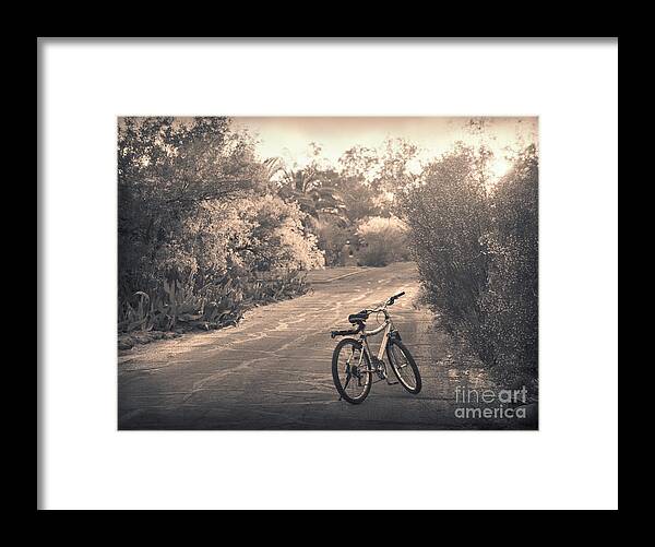Bicycle Framed Print featuring the photograph Bicycle in Tucson by Janeen Wassink Searles
