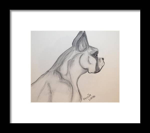 Boxer Framed Print featuring the drawing Big Boxer by Maria Urso
