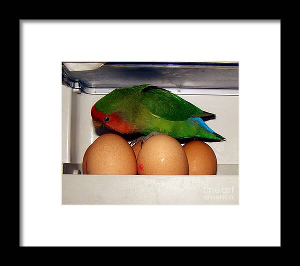 Bird Framed Print featuring the photograph Big Ideas by Terri Waters