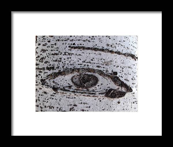 Horizontal Framed Print featuring the photograph Birch Bark All-seeing Eye by Janeen Wassink Searles