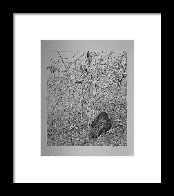 Pin And Ink Framed Print featuring the drawing Bird In Winter by Daniel Reed