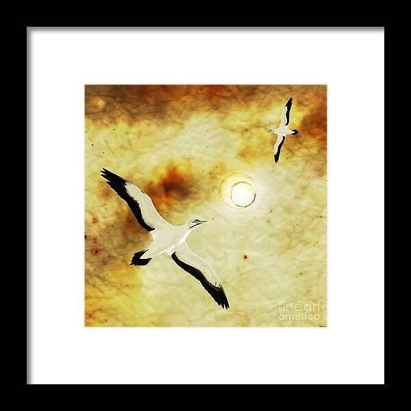 Birds Framed Print featuring the digital art Birds of The Sun by Phil Perkins