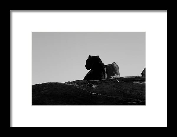 Black Framed Print featuring the photograph Black Jaguar by Kim Galluzzo Wozniak