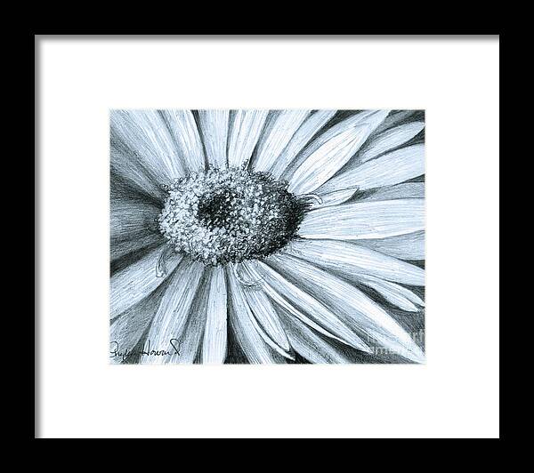 Flower Framed Print featuring the drawing Black White Gerber by Phyllis Howard
