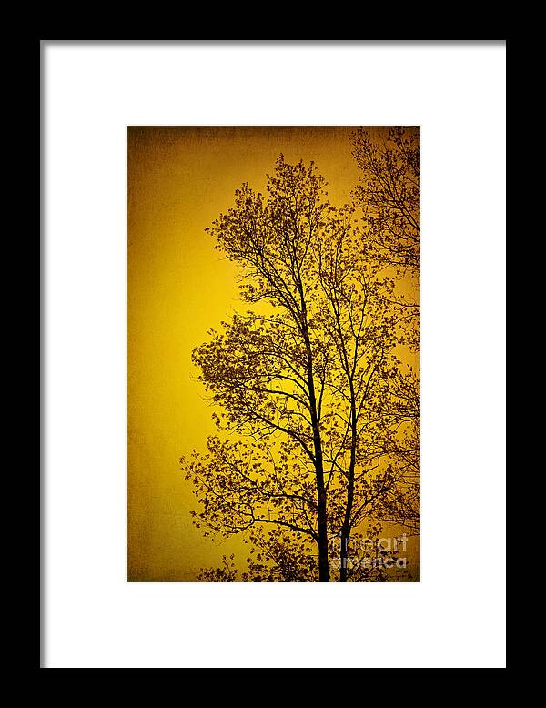 Sunset Framed Print featuring the photograph Blazing Sunset by Cheryl Davis