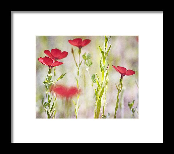 Texture Framed Print featuring the photograph Bliss Kiss by Joel Olives