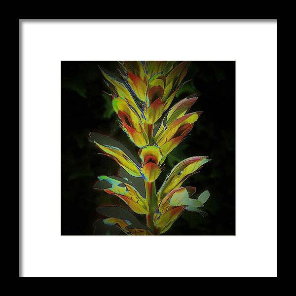 Flowers Framed Print featuring the photograph Bloom 2 by Andrew Drozdowicz