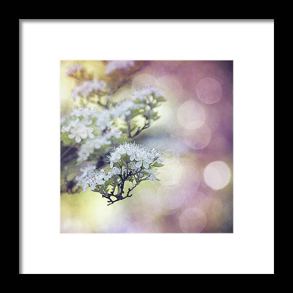 Texture Spring Blossom Bokeh Bloom White Green Blue Nature Framed Print featuring the mixed media Blossom by Joel Olives