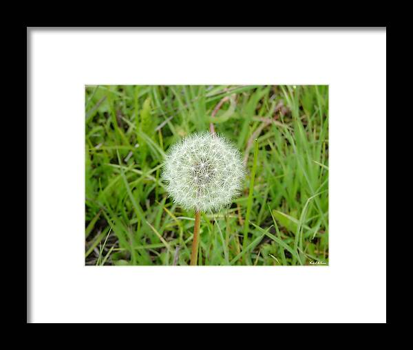 Dandelion Canvas Prints Framed Print featuring the photograph Blow a Wish by Wendy McKennon