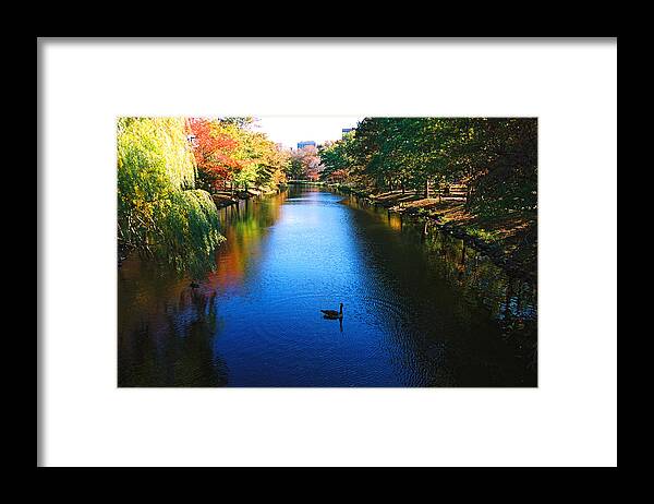 Boston Framed Print featuring the photograph Boston by Claude Taylor
