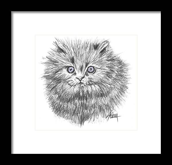 Cat Framed Print featuring the drawing Blue Eyes by Stan Kwong