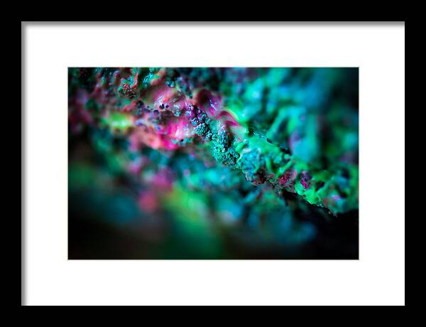 Photo Framed Print featuring the photograph Blue Green Swim by Gene Hilton