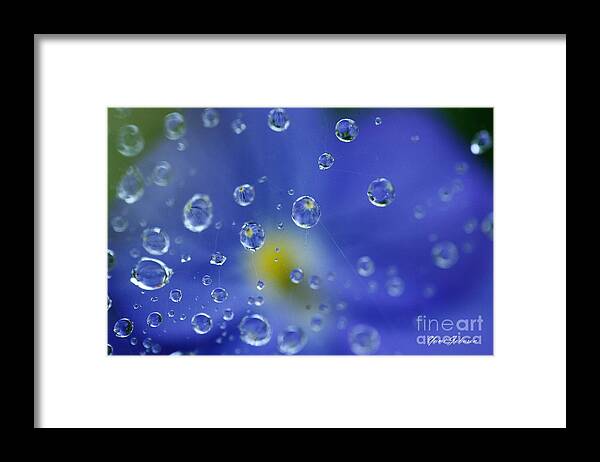 Blue Framed Print featuring the photograph Blue Raindrops by Yumi Johnson
