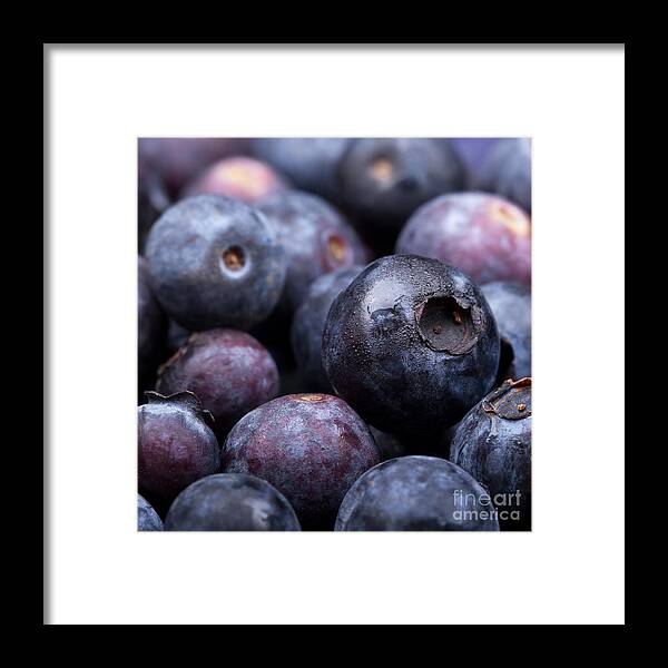 Agriculture Framed Print featuring the photograph Blueberry background by Jane Rix