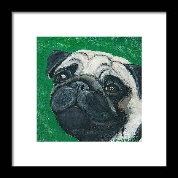 Pug Framed Print featuring the painting Bo The Pug by Ania M Milo
