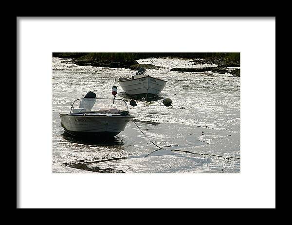 Scenic Framed Print featuring the photograph boats at low tide in Cape Cod by Matt Suess