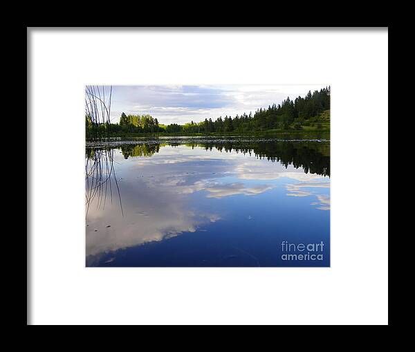 Lake Framed Print featuring the photograph Borrowed Blue by KD Johnson