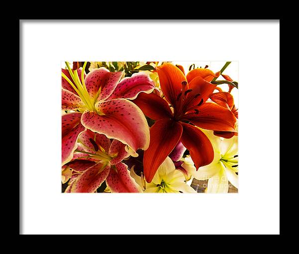 Fowers Framed Print featuring the photograph Bouquet of lillies by Gary Brandes
