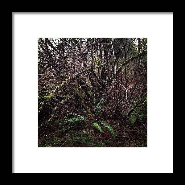 Iphonephoto Framed Print featuring the photograph #branches #tree #trees #rain #wet by Danielle McNeil