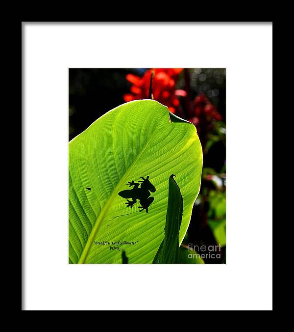 Breakfast Leaf Silhouette Framed Print featuring the photograph Breakfast Leaf Silhouette by Patrick Witz