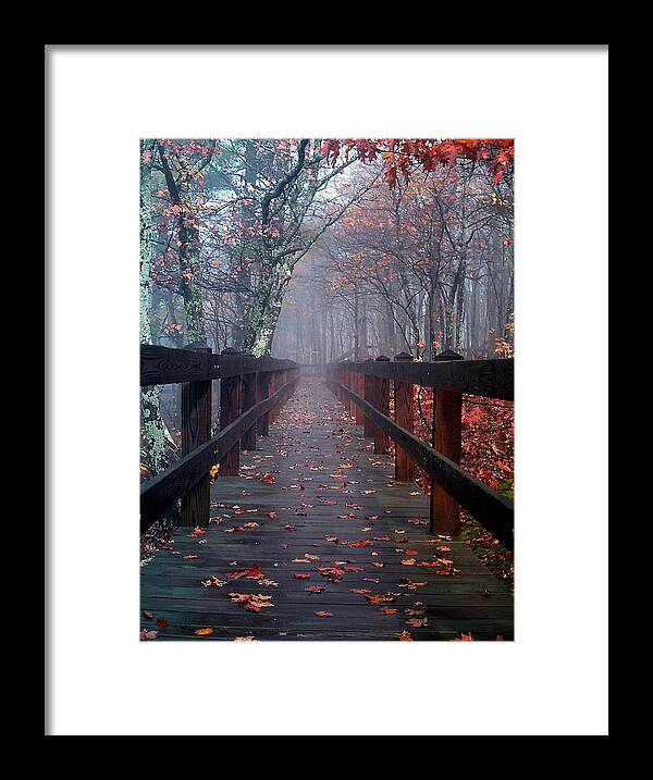 Bridge Framed Print featuring the photograph Bridge To Mist Woods by Mike Hainstock