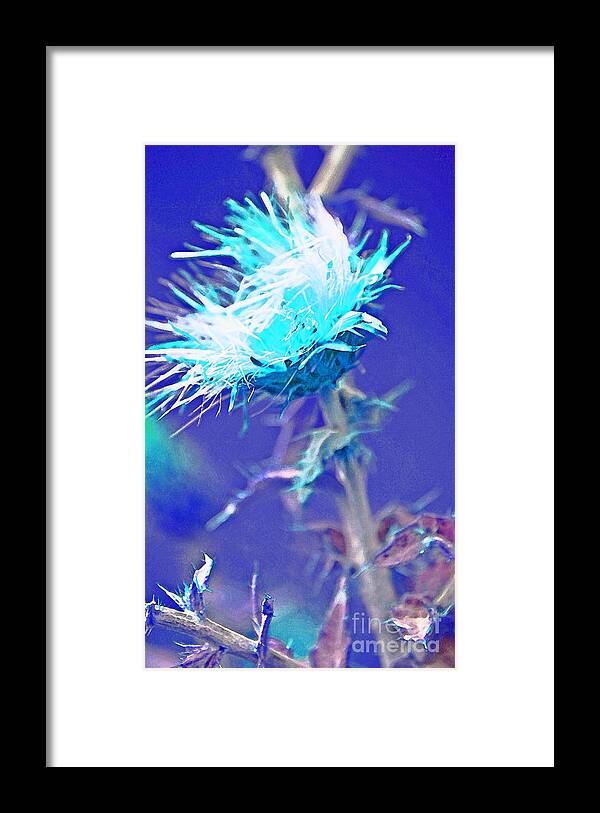 Weeds Framed Print featuring the photograph Bright Accident by Julie Lueders 