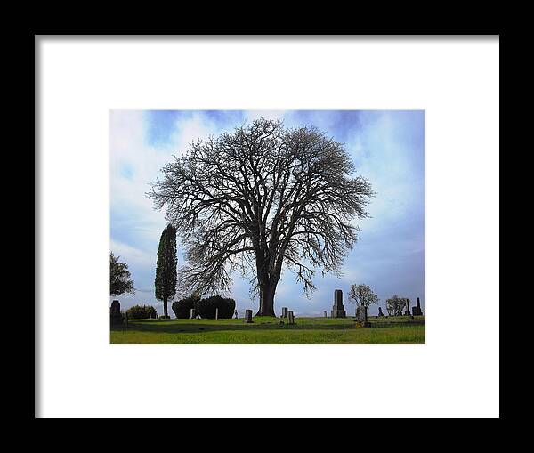Port Gamble Framed Print featuring the photograph Buena Vista Cemetery Port Gamble by Kelly Manning