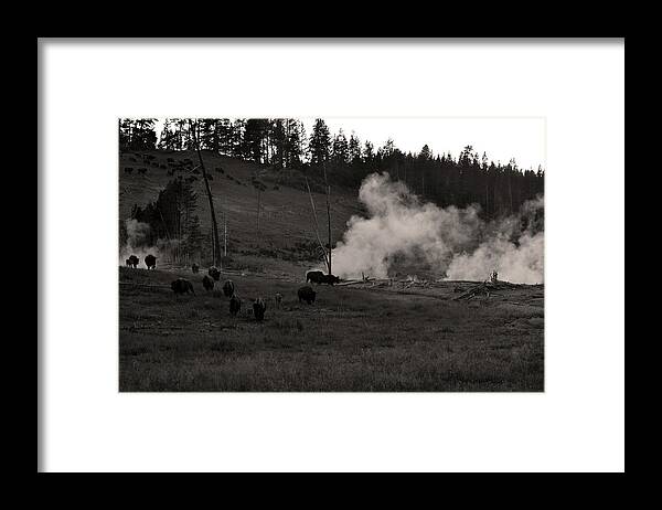 Nature Framed Print featuring the photograph Buffalo Apocalypse by La Dolce Vita