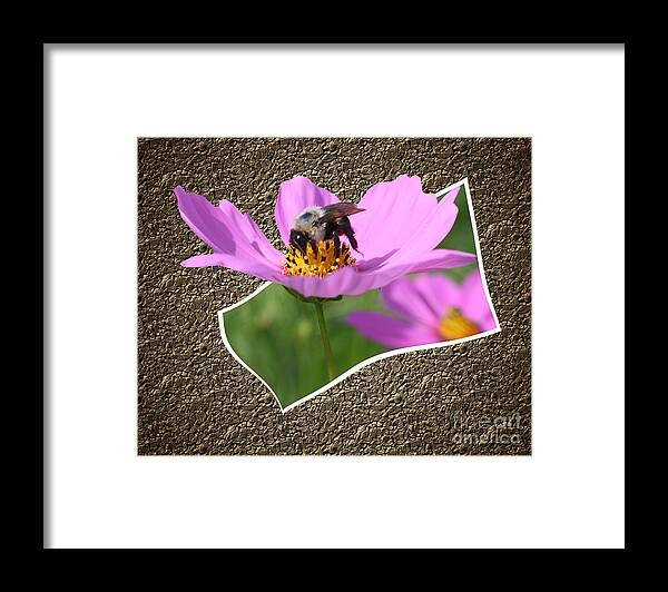 Nature Framed Print featuring the photograph Bumble Bee Pop Out by Smilin Eyes Treasures