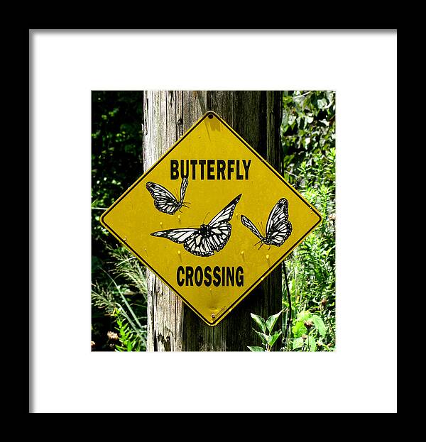 Sign Framed Print featuring the photograph Butterfly Crossing by Donna Brown