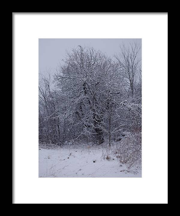 Winter Landscape Framed Print featuring the photograph By the Old Well by Sue Capuano