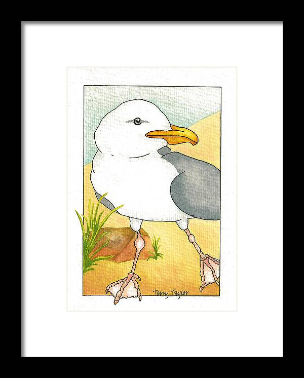 Beach Framed Print featuring the painting C. Gull by Terry Taylor