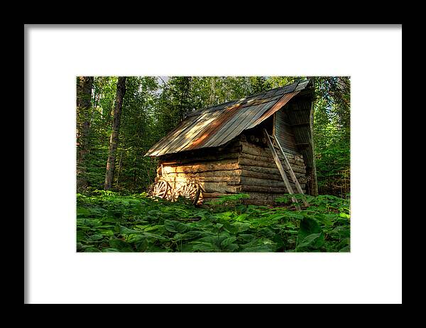Bush Framed Print featuring the photograph Cabin in the Woods by Jakub Sisak