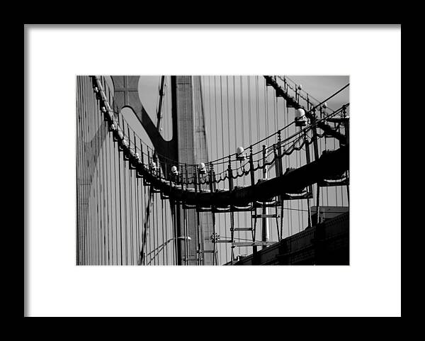 Bridges Framed Print featuring the photograph Cables by John Schneider