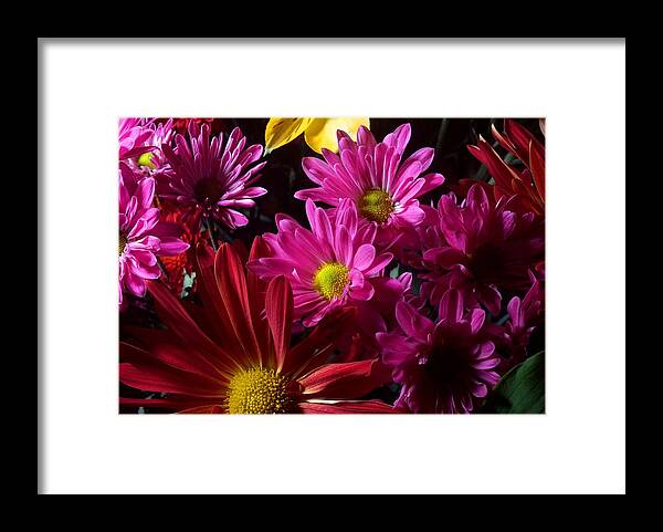 Bouquets Framed Print featuring the photograph Cacophony of Color by Joe Kozlowski