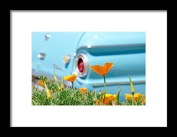 Poppy Framed Print featuring the photograph California Poppy by Margaret Pitcher