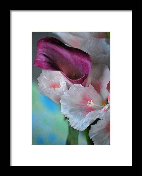 Flowers Framed Print featuring the photograph Calily by Amee Cave