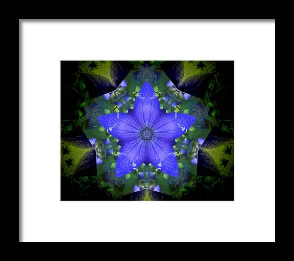 Mandala Framed Print featuring the photograph Campanula Star Flower Mandala by Rene Crystal