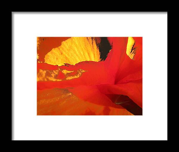 Scarlet Framed Print featuring the photograph Fire by Lora Fisher